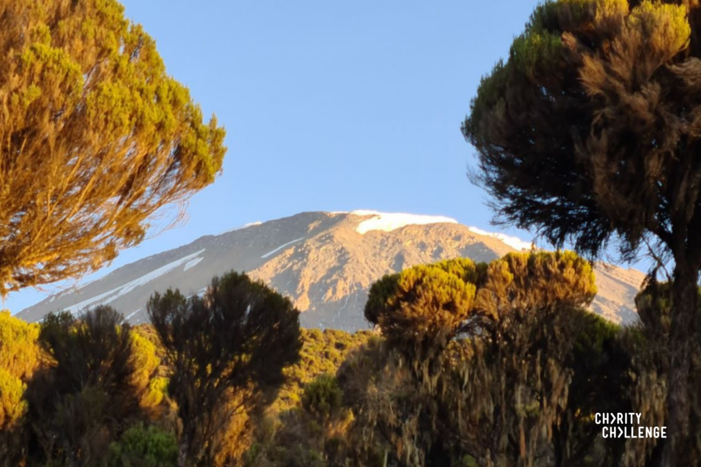 Mount Kilimanjaro, Tanzania.