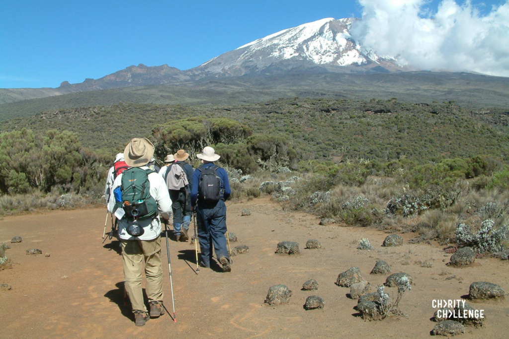 Hikers making their way to Kilimanjaro.