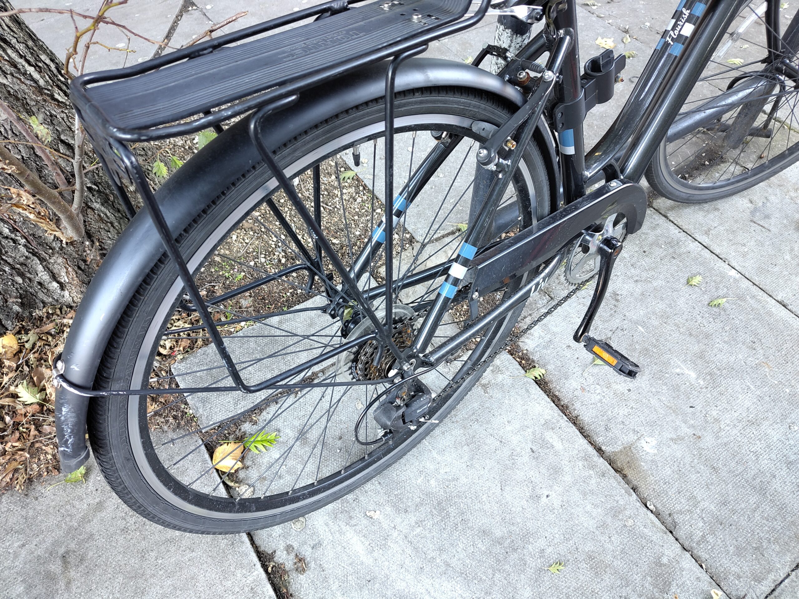 A bicycle parked by a tree.