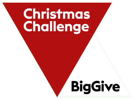 Christmas challenge big give logo.